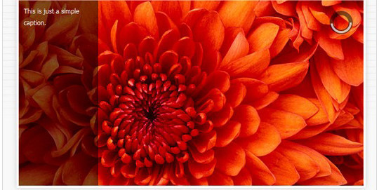 12 WordPress Plugins To Create Image Effects