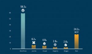 The Insightful Collection Of Infographics With Revealing Facts & Statistics About WordPress