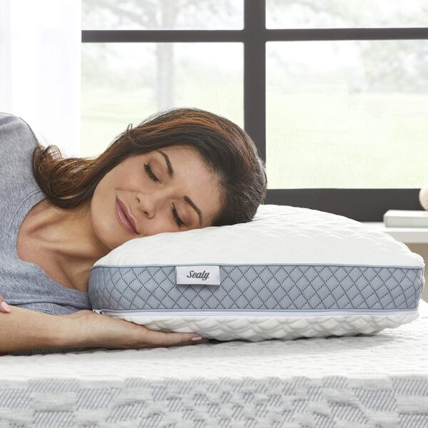 Sealy Molded Memory Foam Pillow, 16 inches x 24 inches x 5. 75 inches, White, Grey 3