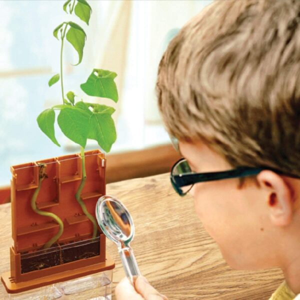 4M Green Science Grow-A-Maze Kit, Build A Plant Maze Science Kit, For Boys & Girls Ages 5+ 4