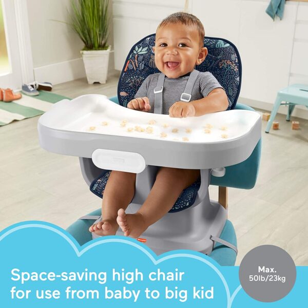 Fisher-Price portable baby dining chair and booster seat High Chair 2
