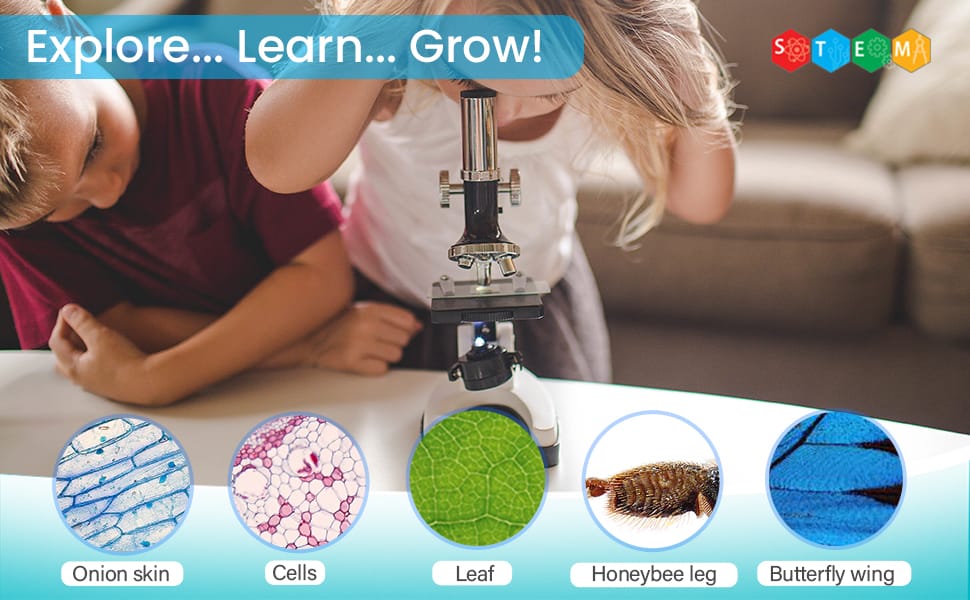Beginner Microscope kit