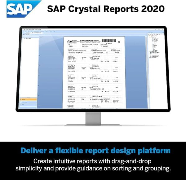 SAP Crystal Reports 2020 Reporting Software [64-Bit] [PC Download] - Image 2