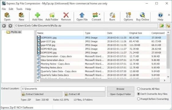Express Zip Professional [PC Online code] - Image 2