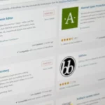 can replit build a wordpress plugins