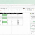 Excel Copilot Function Explained