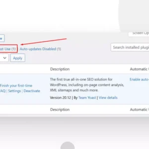 What Are MU Plugins in WordPress?