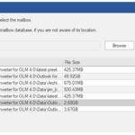 Dialog box of Selected OLM file - Stellar Converter for OLM