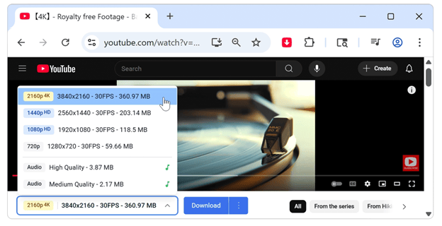 Tubly Downloader - 5 Best YouTube Extensions for Video Downloading in 2025