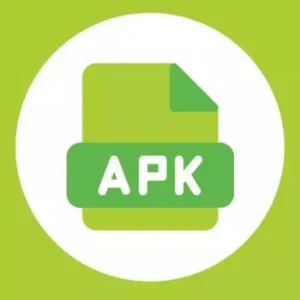 What Does APK Stand For