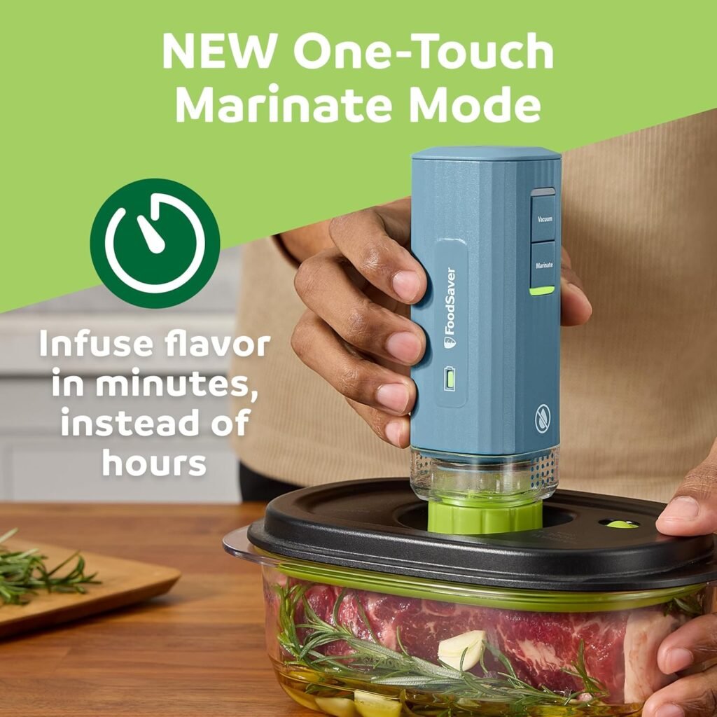 FoodSaver Handheld Mini Vacuum Sealer