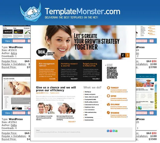 WordPress Themes Giveaway From TemplateMonster 1