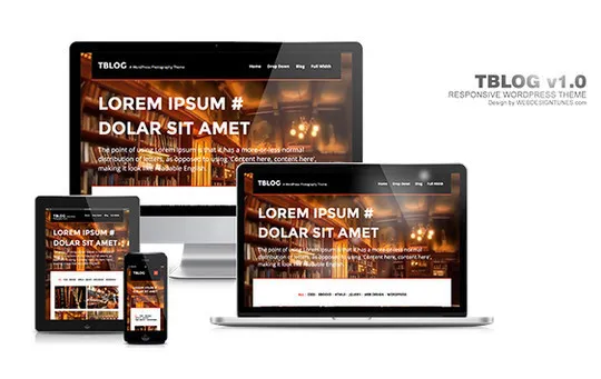 15 Free And Awesome Responsive WordPress Themes 13