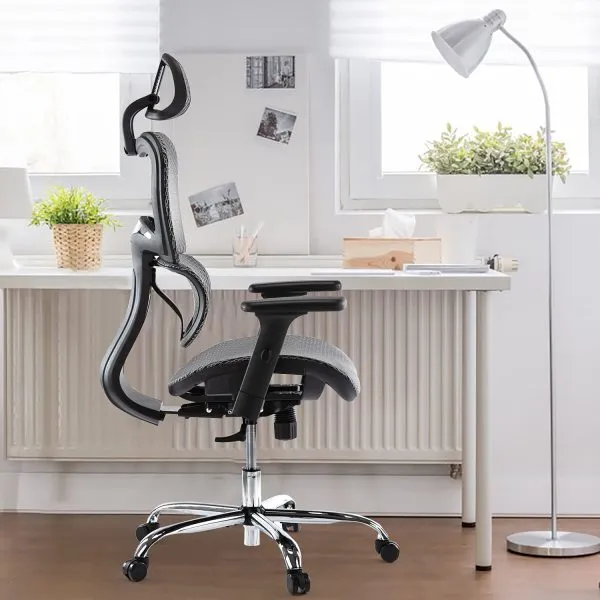 Ergonomic Executive Office Chair with Lumbar Support 3