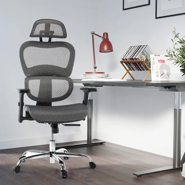 Ergonomic Executive Office Chair with Lumbar Support 1