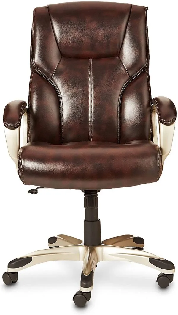 Executive Office Desk Chair with Armrests 2