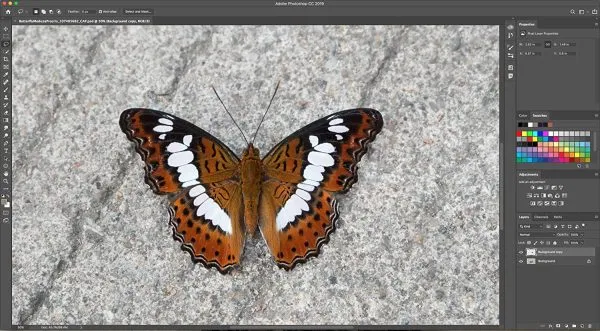 Adobe Photoshop | Photo, image, and design editing software 3