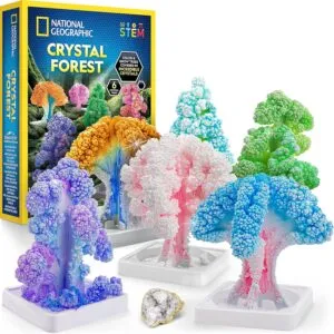 National Geographic Crystal Tree Forest Craft Kit, Grow 6 Crystal Trees in Just 6 Hours